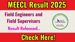 MEECL Field Engineers and Field Supervisors Result 2025 Out at meecl.nic.in, Direct Link to Download Result PDF Here