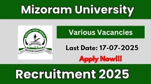 Mizoram University Recruitment 2025 - Apply Online for 51 Section Officer, Security Officer and More Posts