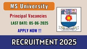 MS University Principal Recruitment 2025 - Apply Offline
