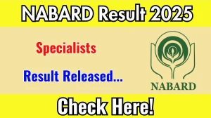 NABARD Specialists Result 2025 Out at nabard.org, Direct Link to Download Result PDF Here NABARD Specialists Result 2025 Out at nabard.org, Direct Link to Download Result PDF Here