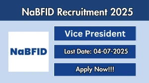 NaBFID Vice President Recruitment 2025 - Apply Online for 02 Posts NaBFID Vice President Recruitment 2025 - Apply Online for 02 Posts