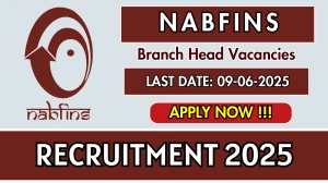 NABFINS Branch Head Recruitment 2025 - Apply Online NABFINS Branch Head Recruitment 2025 - Apply Online
