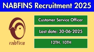 NABFINS Customer Service Officer Recruitment 2025 - Apply Online