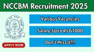 NCCBM Recruitment 2025 - Apply Offline for 13 Project Associate, Senior Project Associate and Other Posts