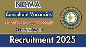 NDMA Consultant Recruitment 2025 - Apply Online NDMA Consultant Recruitment 2025 - Apply Online