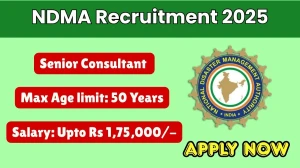 NDMA Senior Consultant Recruitment 2025 - Apply Online
