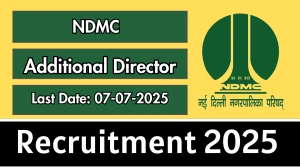 NDMC Additional Director Recruitment 2025 - Apply Offline for 01 Posts