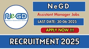 NeGD Assistant Manager Recruitment 2025 - Apply Online