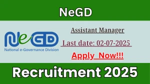 NeGD Assistant Manager Recruitment 2025 - Apply Online