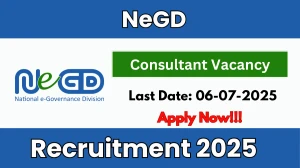 NeGD Consultant Recruitment 2025 - Apply Online