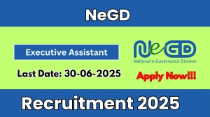 NeGD Executive Assistant Recruitment 2025 - Apply Online