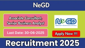 NeGD Recruitment 2025 - Apply Online for 02 Associate Consultant, Senior Business Analyst Posts