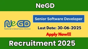 NeGD Senior Software Developer Recruitment 2025 - Apply Online