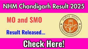 NHM Chandigarh MO and SMO Result 2025 Out at nrhmchd.gov.in, Direct Link to Download Result PDF Here