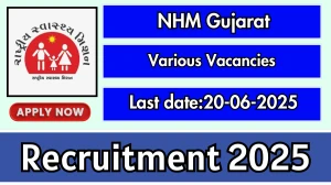 NHM Gujarat Recruitment 2025 - Apply Online for 08 MO, Accountant Cum Computer Assistant and Other Posts