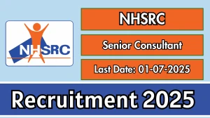 NHSRC Senior Consultant Recruitment 2025 - Apply Online for 02 Posts