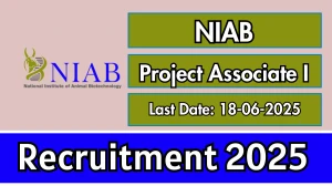 NIAB Project Associate I Recruitment 2025 - Apply Online for 01 Posts NIAB Project Associate I Recruitment 2025 - Apply Online for 01 Posts