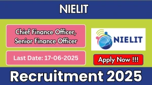 NIELIT Recruitment 2025 - Apply Offline for 02 Chief Finance Officer, Senior Finance Officer Posts