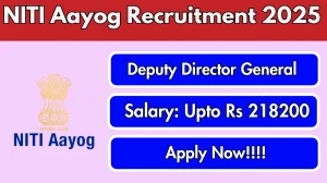NITI Aayog Deputy Director General Recruitment 2025 - Apply Offline for 02 Posts NITI Aayog Deputy Director General Recruitment 2025 - Apply Offline for 02 Posts