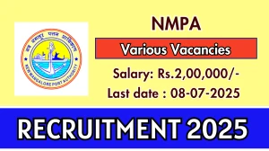 NMPA Recruitment 2025 - Apply Online for 13 Manager, Chief Manager and More Posts