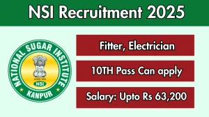 NSI Recruitment 2025 - Apply Offline for 02 Fitter, Electrician Posts