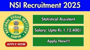 NSI Statistical Assistant Recruitment 2025 - Apply Offline