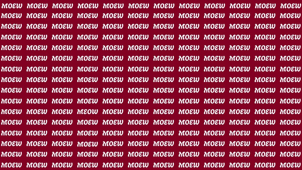 Only Those With HD Vision and Sharp Brain Can Find the Word MEOW among MOEW in 8 Secs in this Brain Teaser