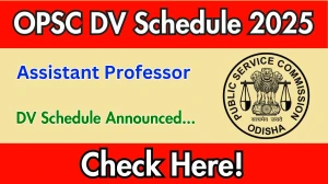 OPSC Assistant Professor DV Schedule 2025: Check Document Verification Date @ opsc.gov.in