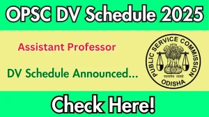 OPSC Assistant Professor DV Schedule 2025: Check Document Verification Date @ opsc.gov.in