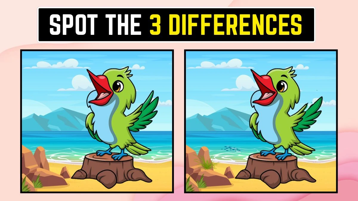 Optical illusion 8 Challenge: Spot the 3 differences in this Parrot Image