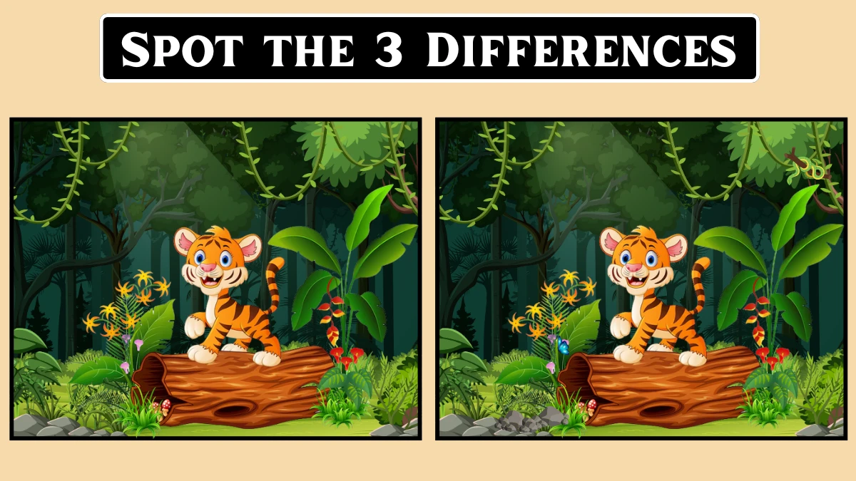 Optical Illusion 8 Challenge: Spot the 3 differences in this Tiger Image