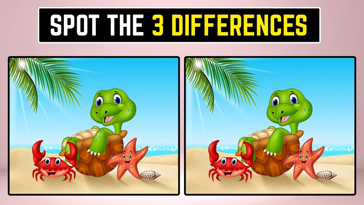 Optical Illusion Eye Test: Within 9 Secs Spot the 3 Differences