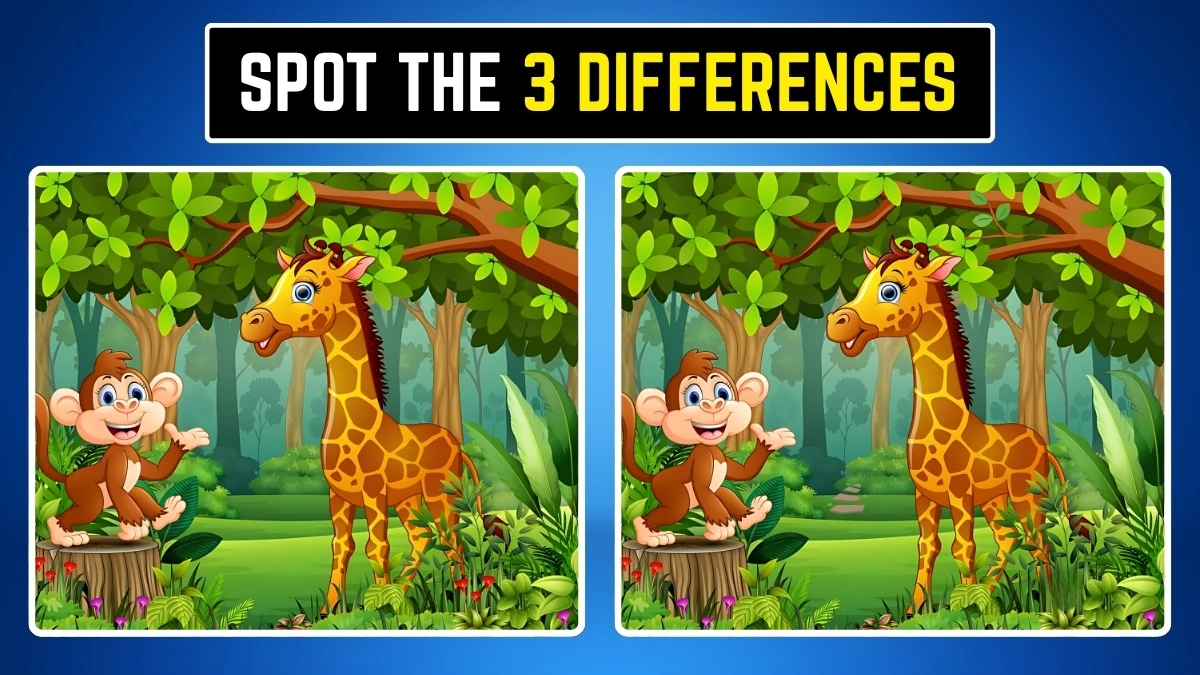 Optical Illusion Eye Test: Within 9 Secs Spot the 3 Differences in the Giraffe and Monkey Pictures