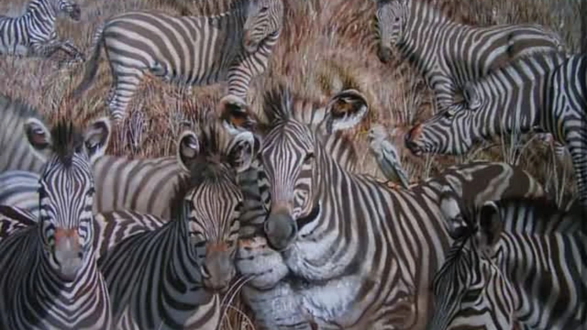 Optical Illusion Personality Test: Lion or Zebra? Know Your True Personality with This Simple Optical Illusion!