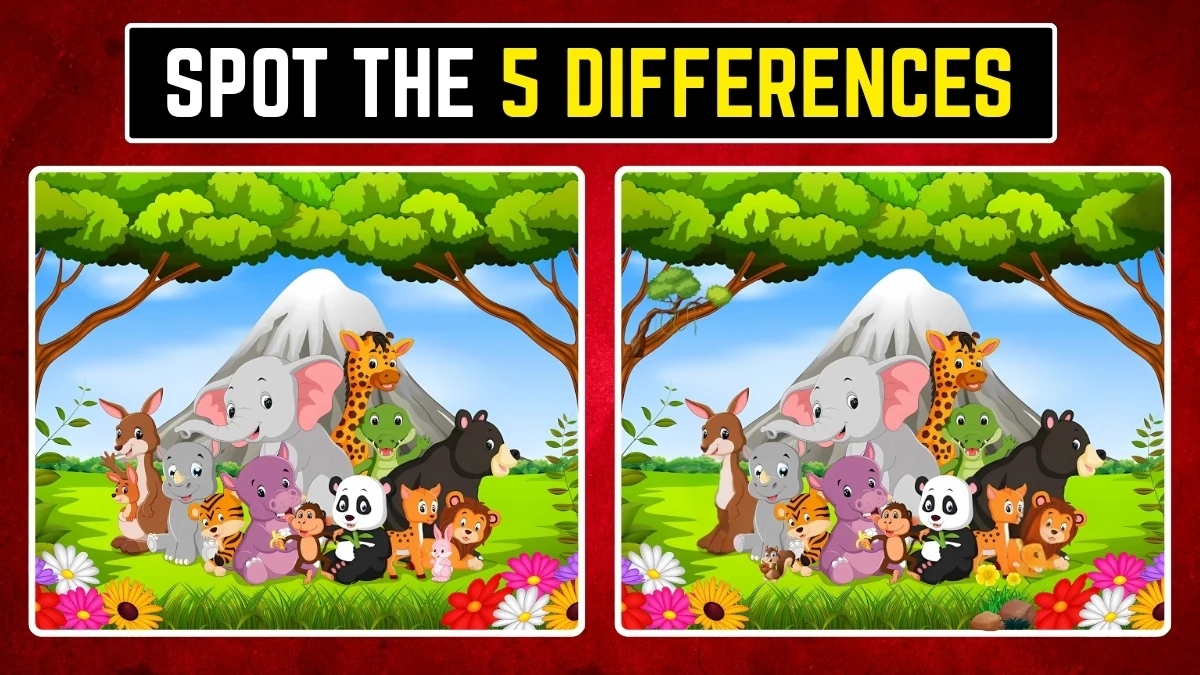 Optical Illusion Spot the Difference: Within 10 Seconds Spot the 5 Differences in the Animals Pictures
