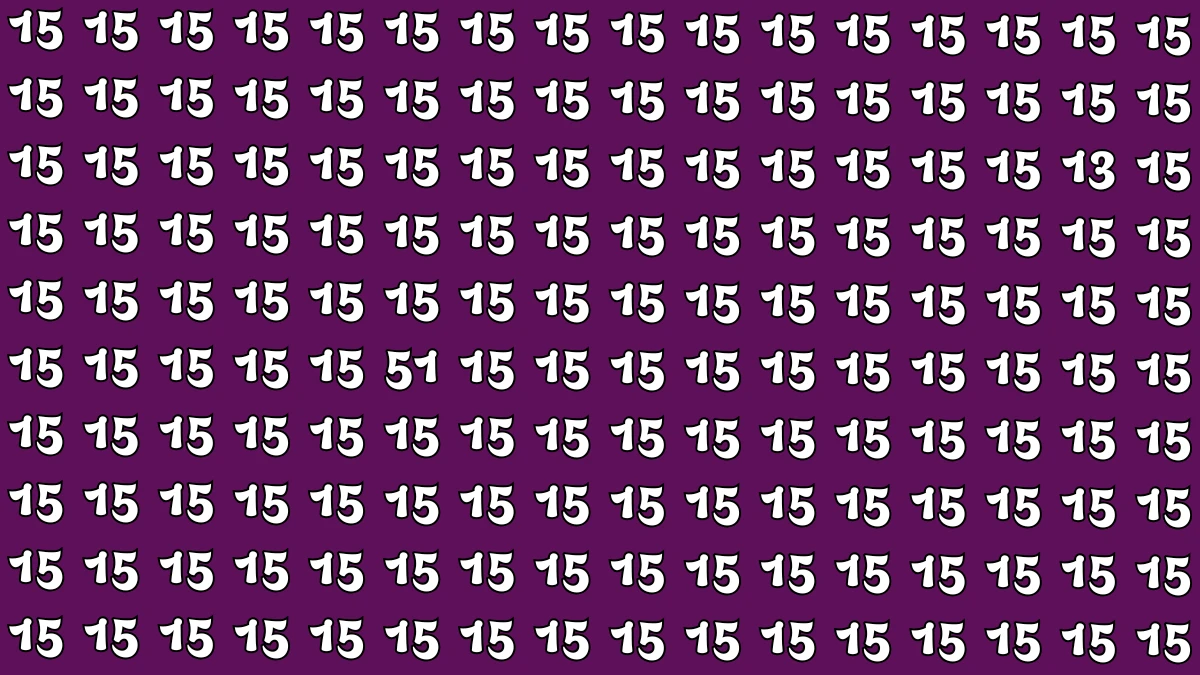 Optical Illusion: Within 5 Seconds Spot The Number 13 and 51 among 15