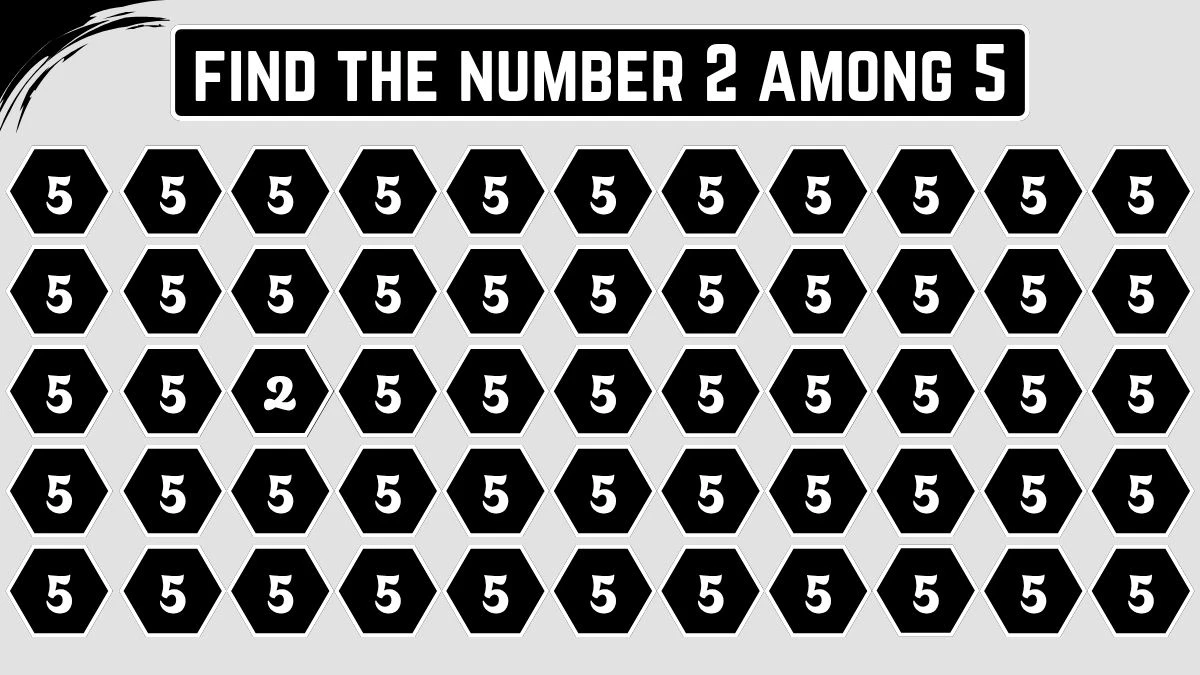 Optical Illusion: Within 5 Seconds Spot The Number 2 among 5
