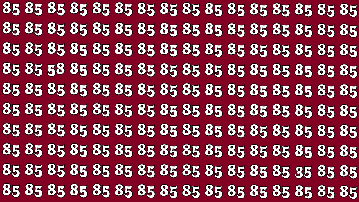 Optical Illusion: Within 5 Seconds Spot The Number 58 and 35 among 85