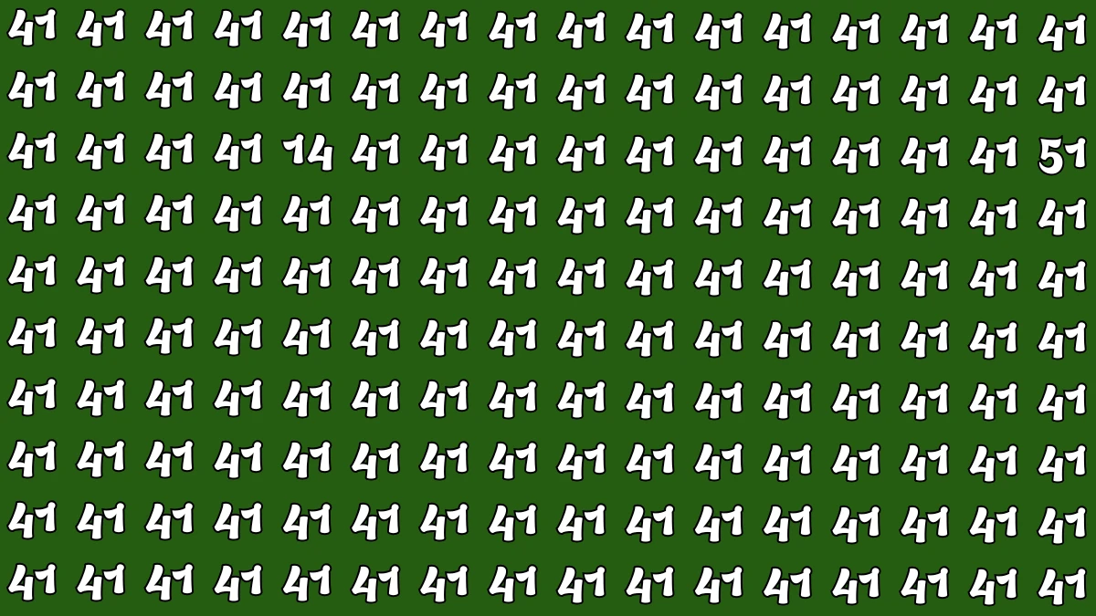 Optical Illusion: Within 6 Seconds Spot The Number 14 and 51 among 41