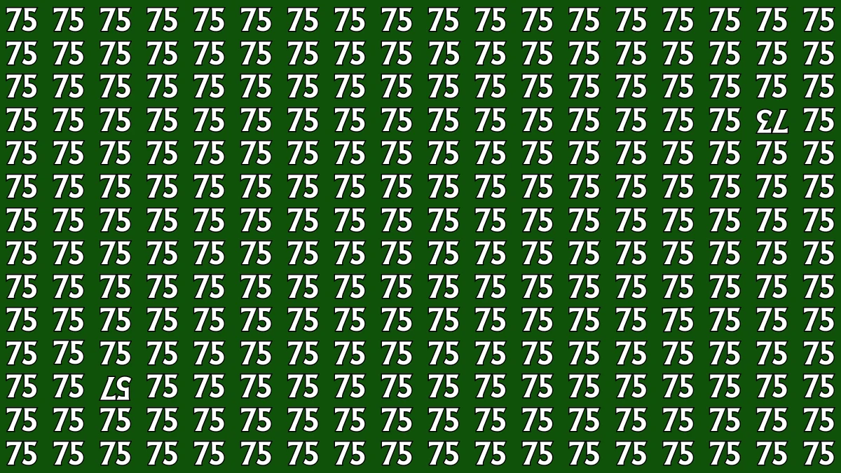 Optical Illusion: Within 7 Seconds Spot The Inverted 73 and 57 among 75