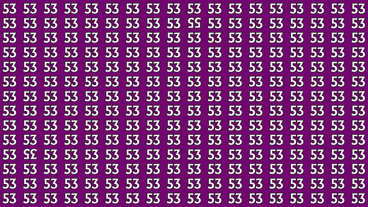 Optical Illusion: Within 8 Seconds Spot The Inverted 35 and 55 among 53