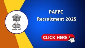 PAFPC Recruitment 2025 - Apply Offline for 02 CEO, Accountant Posts PAFPC Recruitment 2025 - Apply Offline for 02 CEO, Accountant Posts