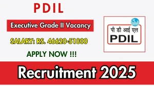 PDIL Executive Grade II Recruitment 2025 - Apply Offline for 05 Posts PDIL Executive Grade II Recruitment 2025 - Apply Offline for 05 Posts