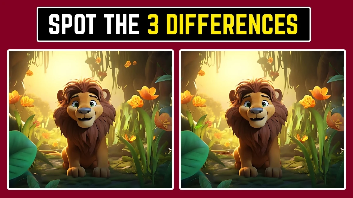 Picture Puzzle IQ Test: Only High IQ Geniuses Can Spot the 3 Differences in this Lion Image in 10 Secs