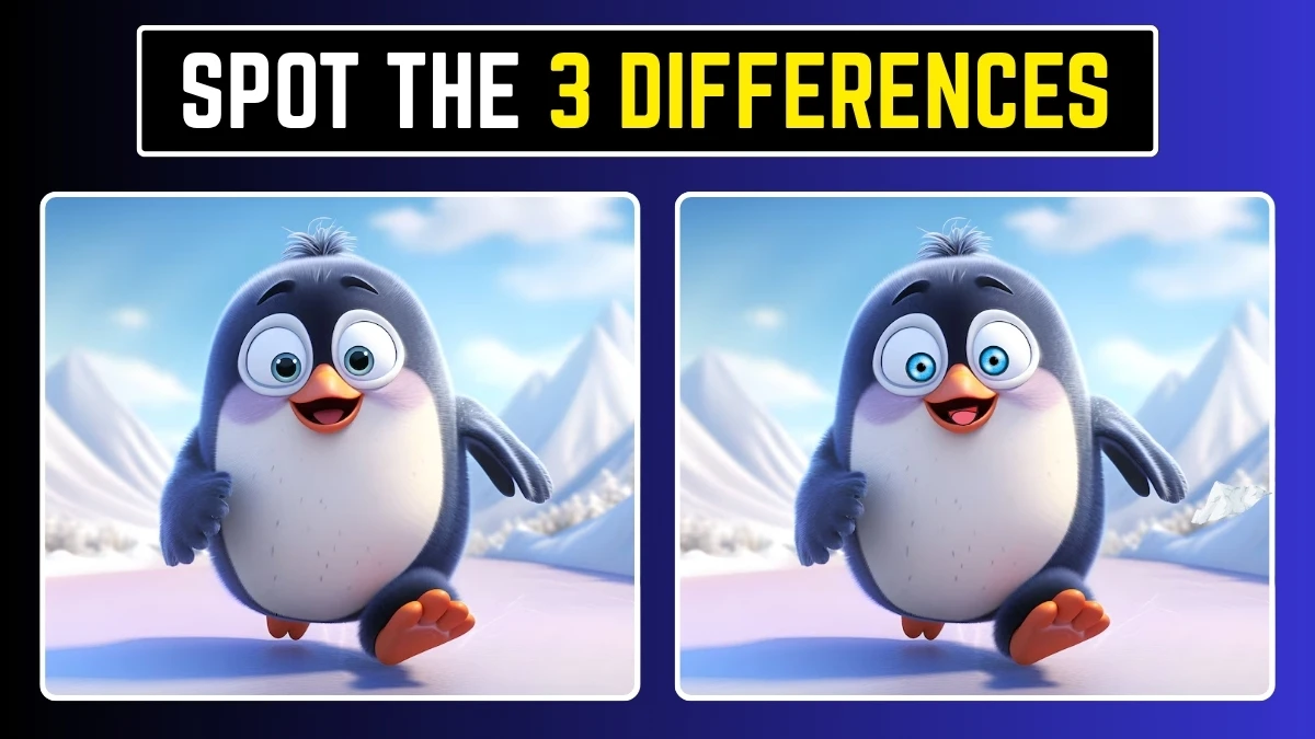 Picture Puzzle IQ Test: Only High IQ Geniuses Can Spot the 3 Differences in this Penguin Image in 8 Secs