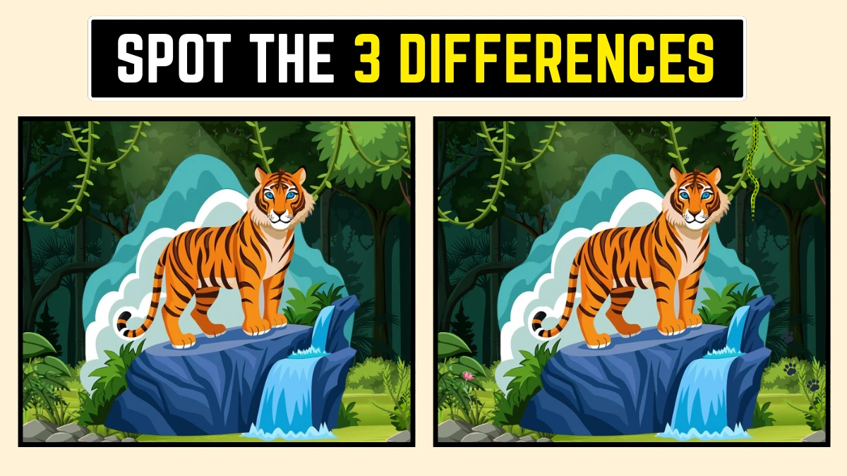 Picture Puzzle IQ Test: Only High IQ Geniuses Can Spot the 3 Differences in this Tiger Image in 10 Secs