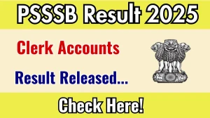 PSSSB Clerk Accounts Result 2025 Out at sssb.punjab.gov.in, Direct Link to Download Result PDF Here PSSSB Clerk Accounts Result 2025 Out at sssb.punjab.gov.in, Direct Link to Download Result PDF Here