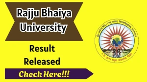 Rajju Bhaiya University Result 2025 Released at erp.prsuprayagraj.in Direct Link to Download 2nd, 4th, 6th and 8th Semester Result