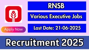 RNSB Senior Executive Recruitment 2025 - Apply Online