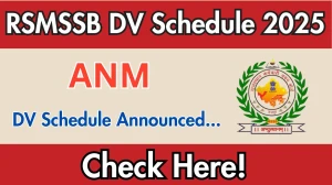 RSMSSB ANM DV Schedule 2025: Check Document Verification Date @ rsmssb.rajasthan.gov.in RSMSSB ANM DV Schedule 2025: Check Document Verification Date @ rsmssb.rajasthan.gov.in